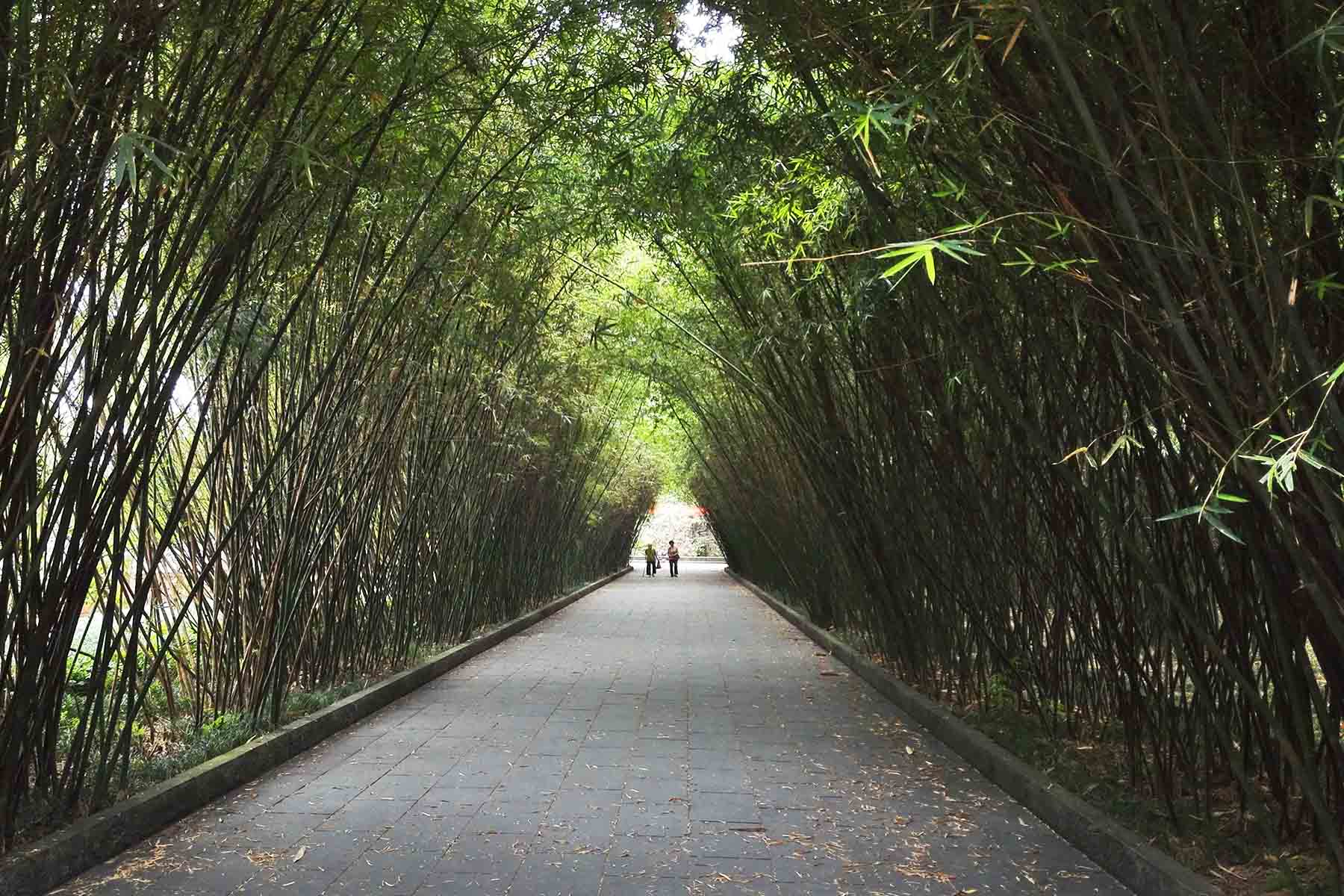 Wangjianglou Park